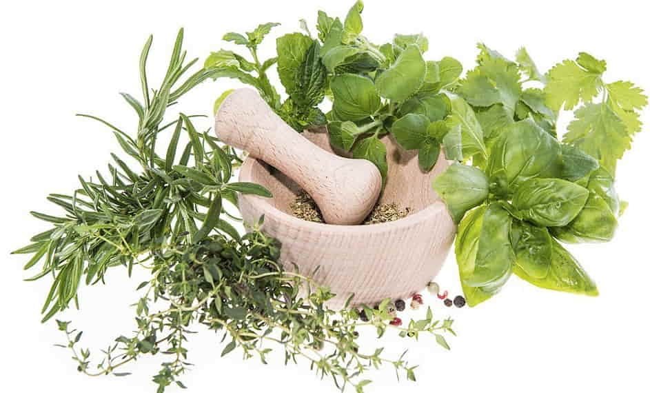 بهترین داروی گیاهی مفید جایگزین قرص ریتالین