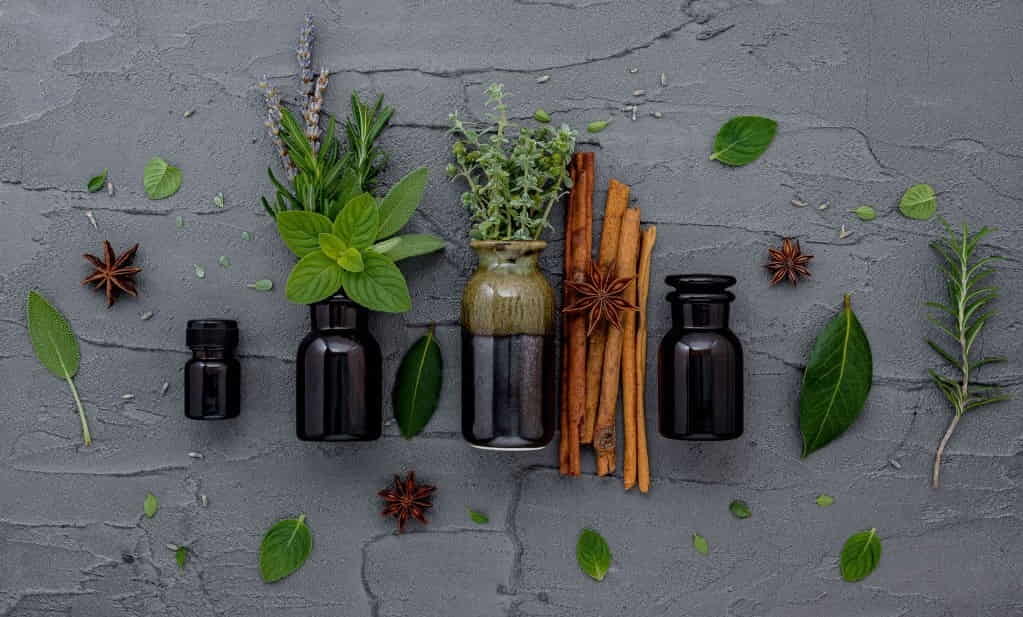 بهترین داروی گیاهی برای ترک گل