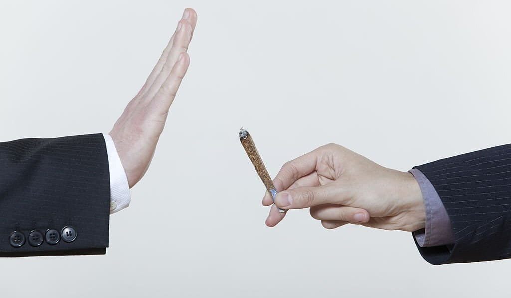 سیر تا پیاز پاسخ به سوال بعد از ترک گل چه باید کرد؟