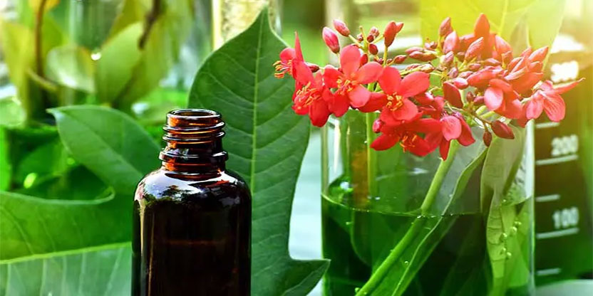 داروی گیاهی برای ترک متادون