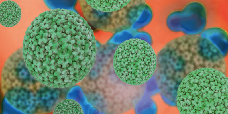 عفونت دستگاه تناسلی مردان از نوع HPV