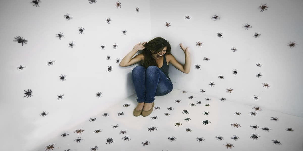 ترس از حشرات