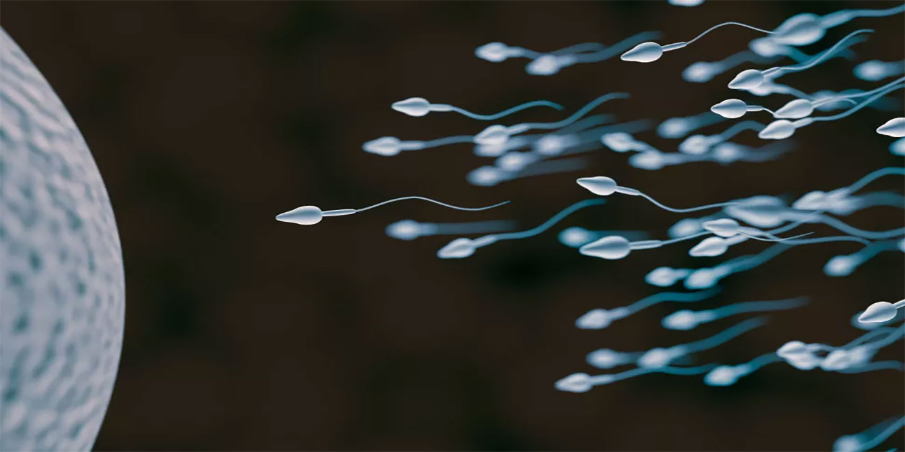 دلیل استفاده از راه های افزایش اسپرم در مردان