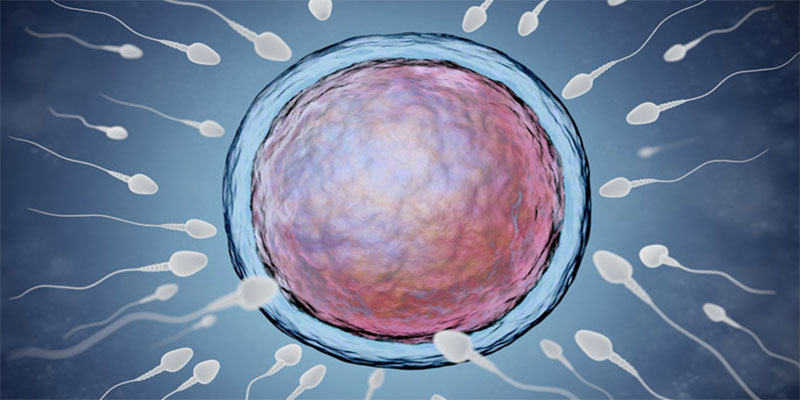 میزان غلظت اسپرم چقدر باید باشد؟ + راه های افزایش آن