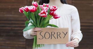 روش های عذرخواهی از همسر
