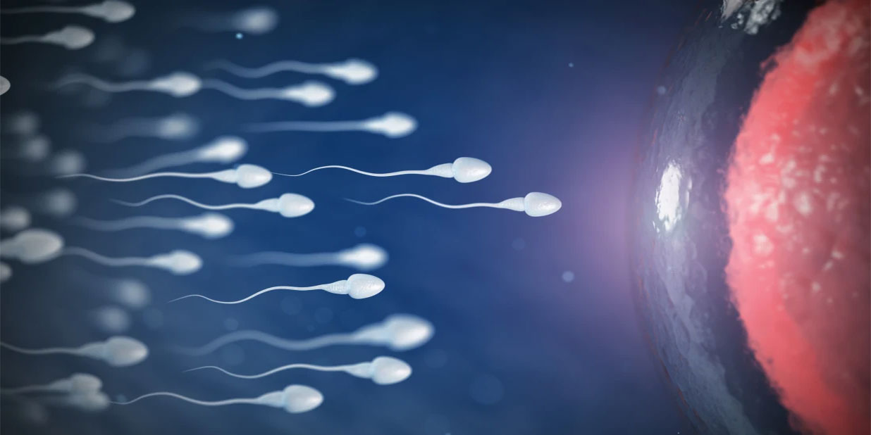 تاثیر اعتیاد بر سلامت جنسی و تولید اسپرم