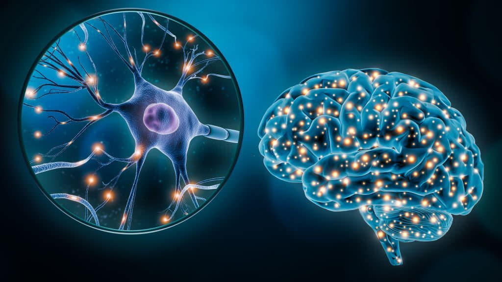 آیا بیماری نوروپاتی خطرناک است؟